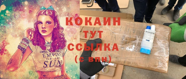 хмурый Алзамай