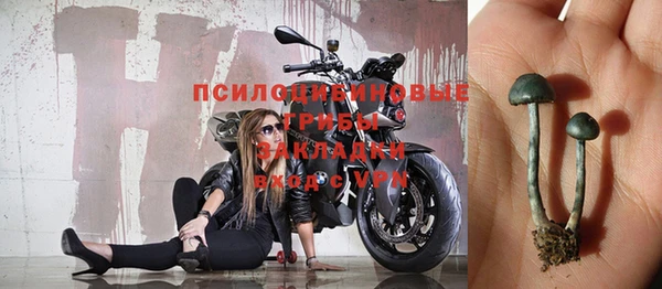 винт Абаза