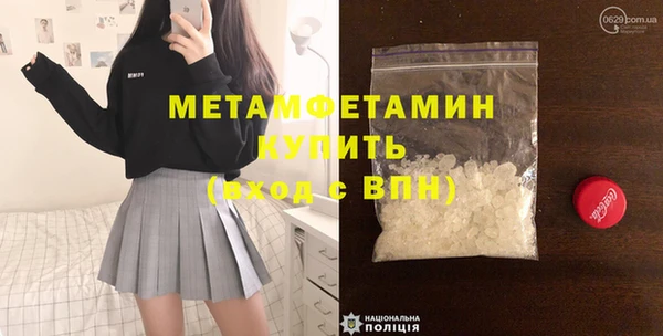 прущие грибы Покачи