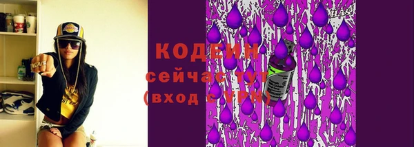 винт Абаза